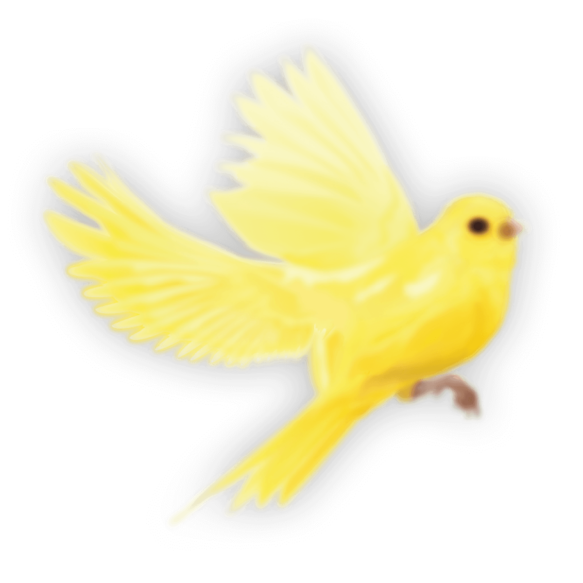 01-yellow-bird